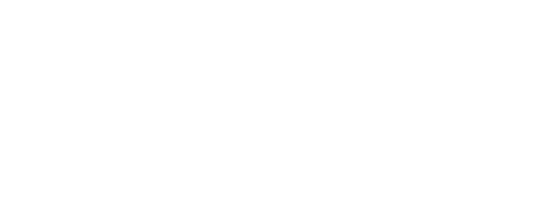 Shesha Loading Animation